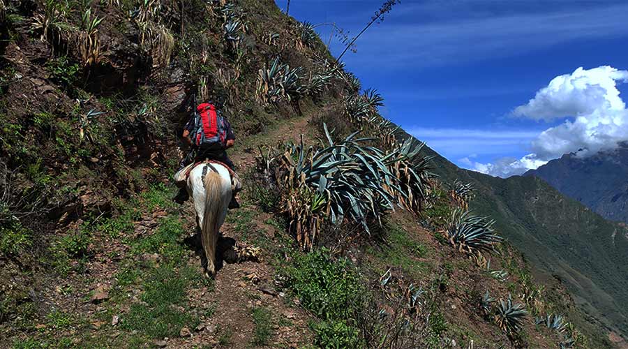 choquequirao cusco trek