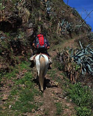 cropped-Choquequirao-cusco-trek-1-1.jpg choquequirao cusco trek