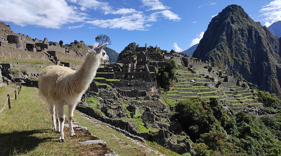 machupicchu-private-tours choquequirao cusco trek