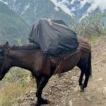 Choquequirao Trek via Quinualla Shortest 30 km