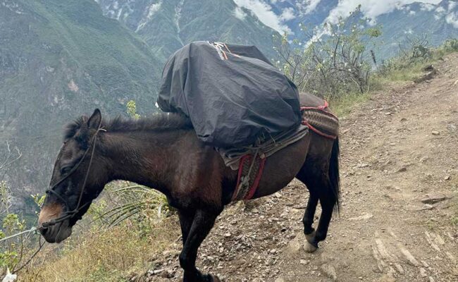 choquequirao-trek-via-quinualla