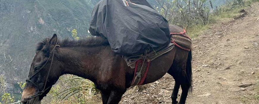 choquequirao-trek-via-quinualla