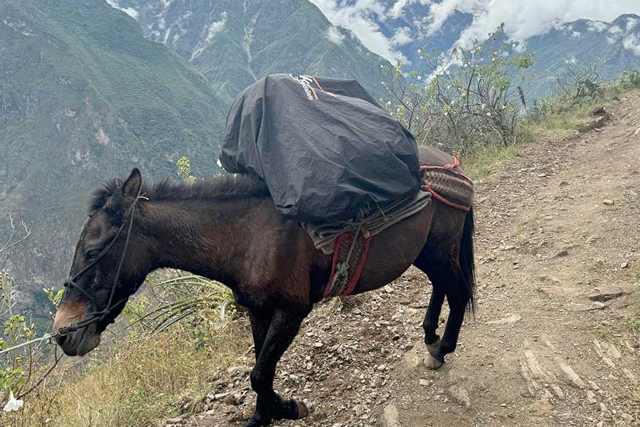 choquequirao-trek-via-quinualla