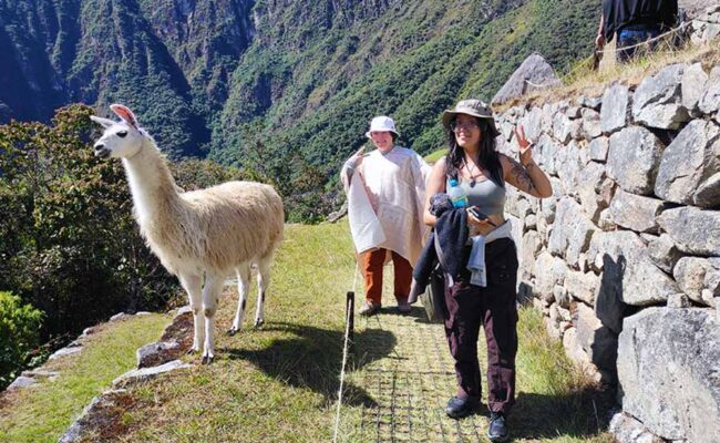 machu picchu private full day tour from cusco